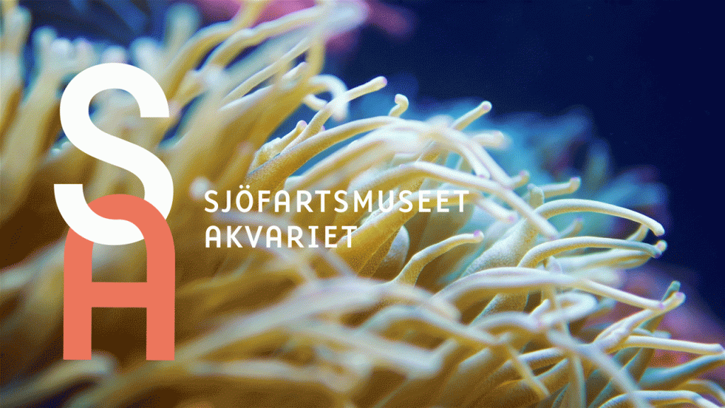 En animerad bild på Sjöfartsmuseets logotyp under ytan i ett akvarium